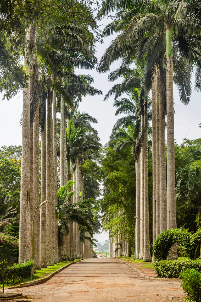 Aburi Botanical Garden